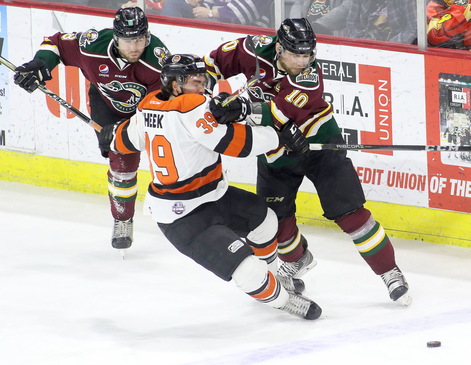 030418-Mallards-FT-Wayne-010